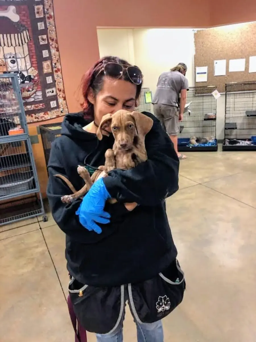 Maria Ochs holding one of the smaller dogs at Frey's Place dog daycare
